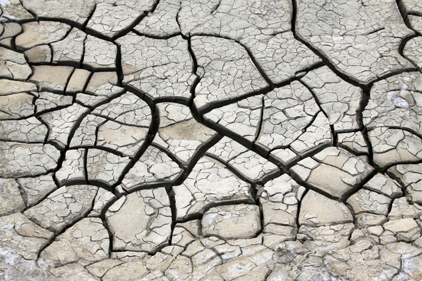 dry land - Photo, Image