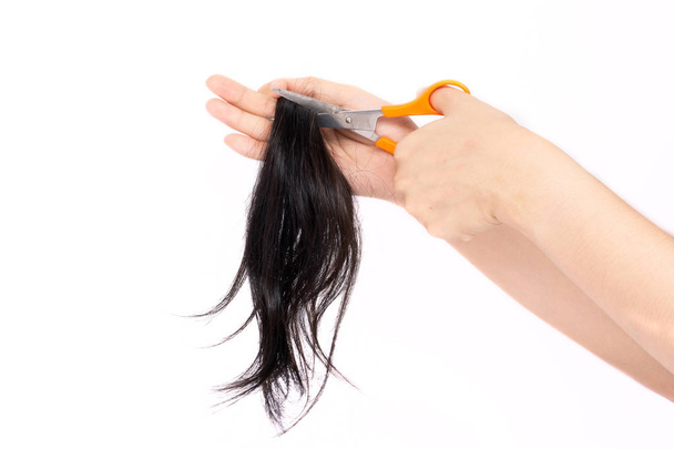 Close up woman hand with  long hair after cutting to donate to cancer patients to make wigs. Isolated on white background. Donate hair for cancer patients' concepts. - Foto, Bild