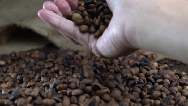 a hand spewing coffee beans - Záběry, video