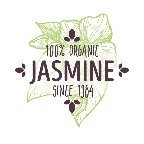Fleurs de jasmin, herbes biologiques, tisanes et produits de santé, icône isolée avec vecteur de lettrage. Cosmétiques naturels, huile essentielle, ingrédient végétal. Médecine et beauté, marché aux épices
 - Vecteur, image