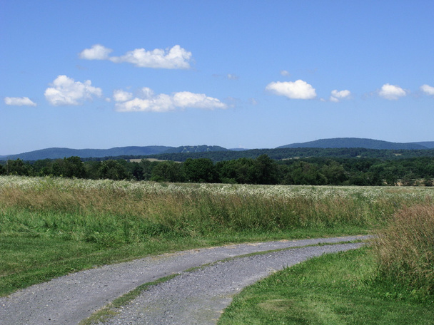 Green Field e Country Road
 - Foto, immagini