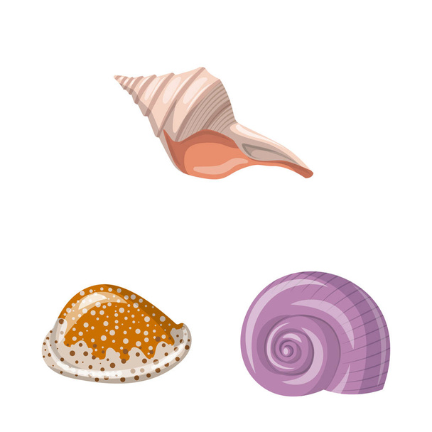 Vector design of seashell and mollusk symbol. Collection of seashell and seafood vector icon for stock. - Vecteur, image