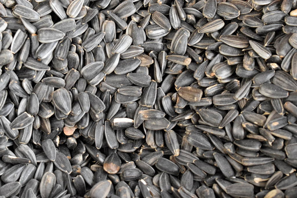 A lot of natural raw sunflower seeds. - Foto, afbeelding