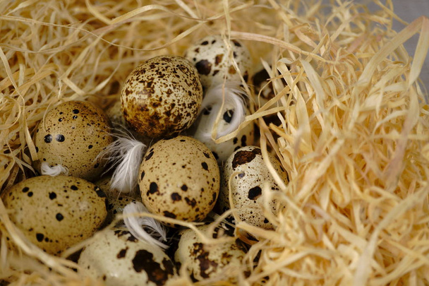 Перепелині яйця в солом'яному гнізді, макро фото
. - Фото, зображення