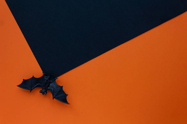 Halloween concept. Black bat between two backgrounds. - Valokuva, kuva