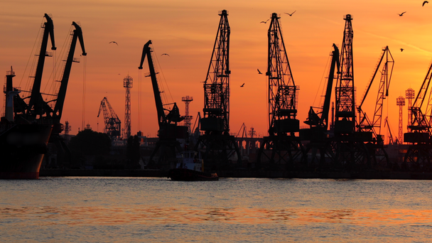 Varna Sea Port bij zonsondergang, silhouetten van vogels, industriële kranen en vrachtschepen, Bulgarije. - Video