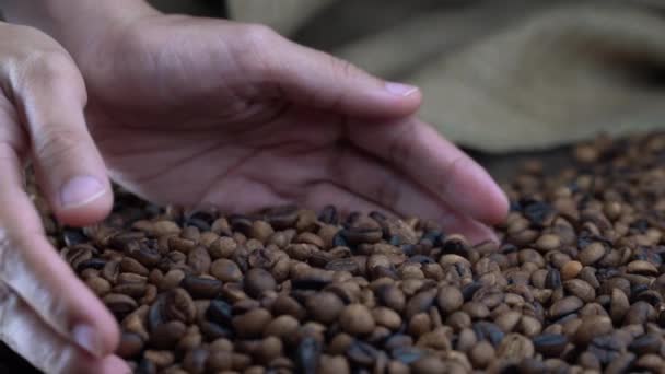 a hands take and pour coffee beans to a pile of coffee - Felvétel, videó