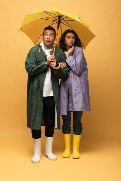 pareja interracial asustada en impermeables y botas de goma sosteniendo paraguas sobre fondo amarillo
 - Foto, Imagen