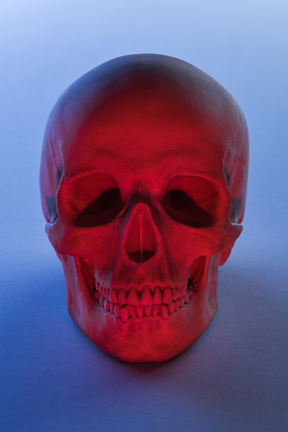 Gruseliger menschlicher Totenkopf in rotem Licht auf blauem Hintergrund, Halloween-Dekoration - Foto, Bild