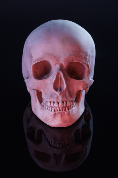 Gruseliger menschlicher Schädel isoliert auf schwarzer Halloween-Dekoration - Foto, Bild