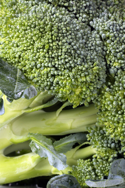 Broccoli - Foto, immagini