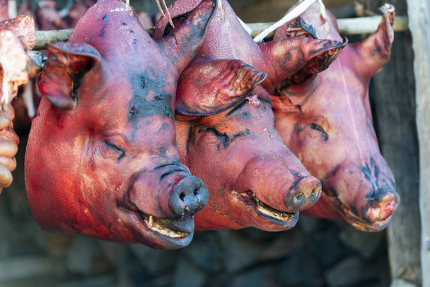Pig heads, Khonoma Village, Nagaland, India - Photo, Image