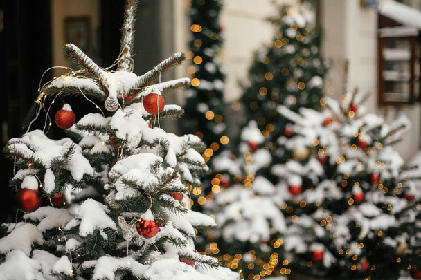 Noel sokak dekoru. Kırmızı ve gol ile şık noel ağaçları - Fotoğraf, Görsel