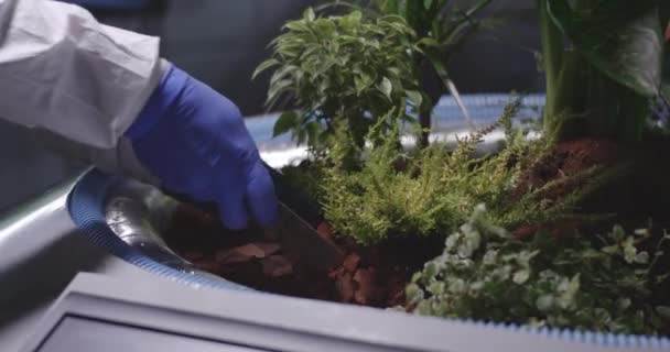 Wissenschaftler pflanzt Setzlinge auf Marsbasis - Filmmaterial, Video