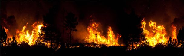 家の近くで森林大火災、ポボア・デ・ランホソ、ポルトガル. - 写真・画像