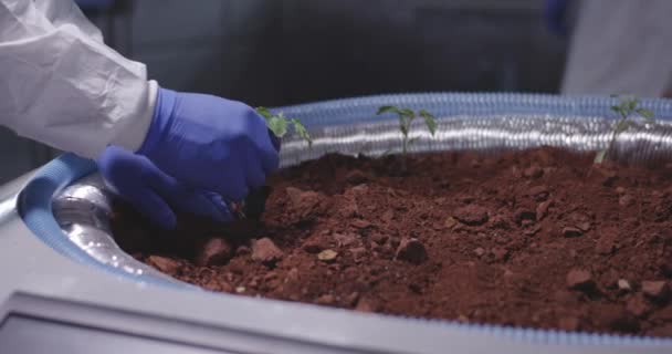 Wetenschapper plant zaailingen op een Mars basis - Video