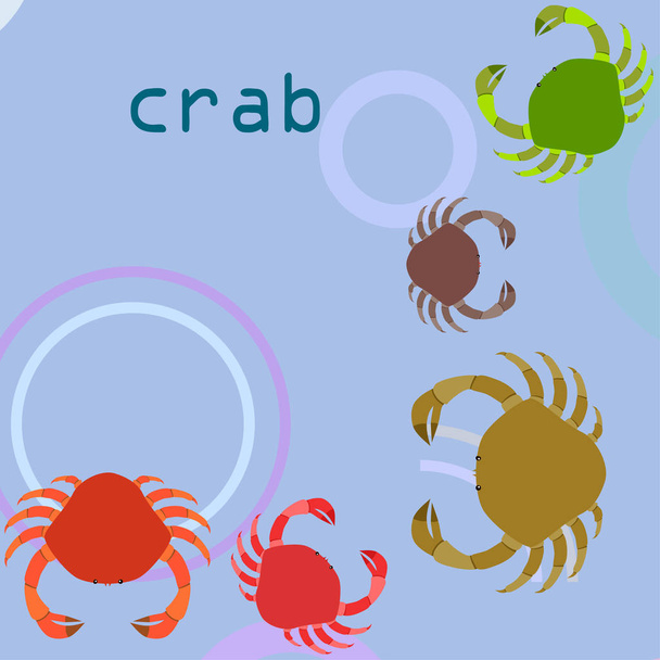 Crabs. Seafood. Vector illustration of a sea animal. - Vektor, Bild