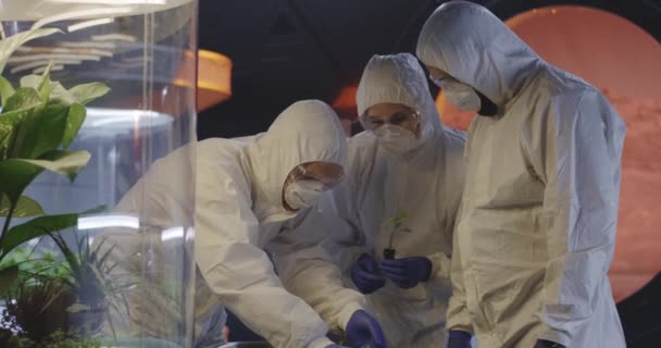 Naukowcy badając sadzonki w laboratorium - Materiał filmowy, wideo