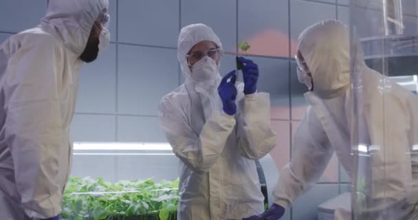 Naukowcy badając sadzonki w laboratorium - Materiał filmowy, wideo