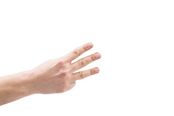 Isolated hand on a white background - Foto, imagen