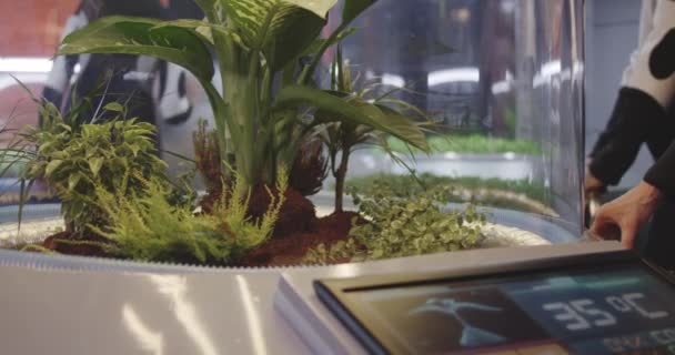 Astrobiologen die planten incubator onderzoeken - Video