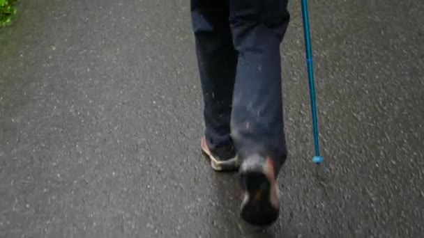 A man walks on the asphalt with a tracking stick, only legs are visible - Materiał filmowy, wideo