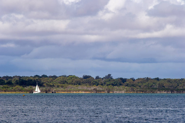 Landscape of swan river and sailing boat - Фото, изображение