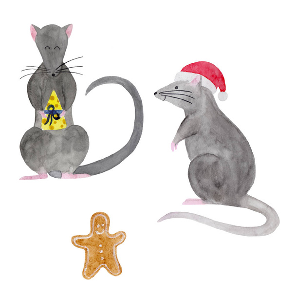 Set acquerello di ratti di Natale
 - Foto, immagini