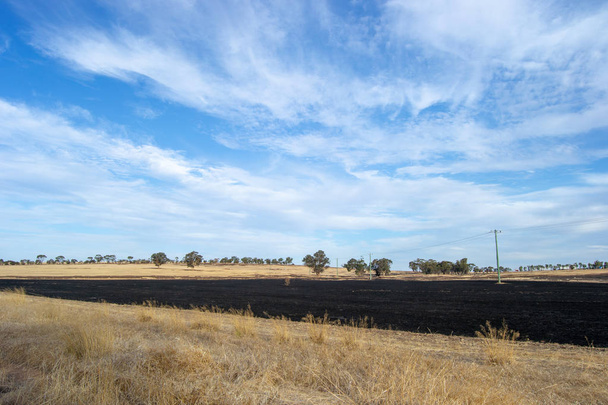 Paysage aride et désertique de l'arrière-pays Perth
 - Photo, image