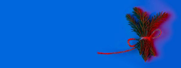 ramoscelli di abete rosso legati con spago nella luce al neon su sfondo blu
 - Foto, immagini