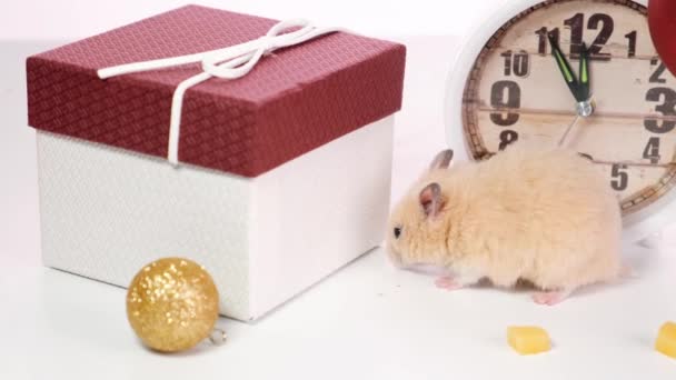 新年2020年のシンボルは、新年の木、時計や贈り物の近くのネズミです。新年のコンセプト - 映像、動画