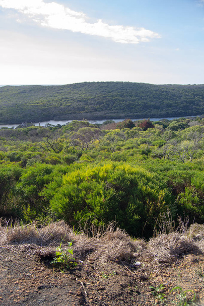Margaret river landscape at sunny day full of vegetation at nature - Φωτογραφία, εικόνα