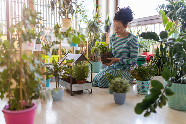 Young woman taking care of her potted plants at home - Photo, Image