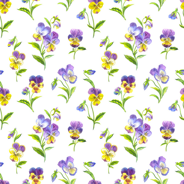 Seamless pattern of pansies on a white background - 写真・画像