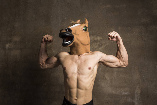 Fitness hevosen harjoituspainot
 - Valokuva, kuva