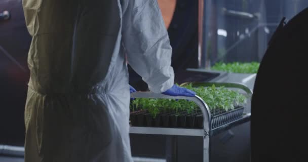 Cientista em terno hazmat verificando incubadoras de plantas
 - Filmagem, Vídeo