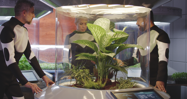 Astrobiólogos examinam incubadora de plantas
 - Filmagem, Vídeo