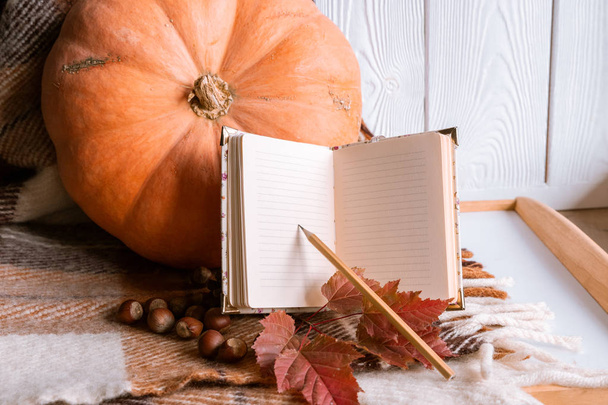 Still Life with Pumpkin and Book. Autumn concept. Copy Space - Foto, Imagem