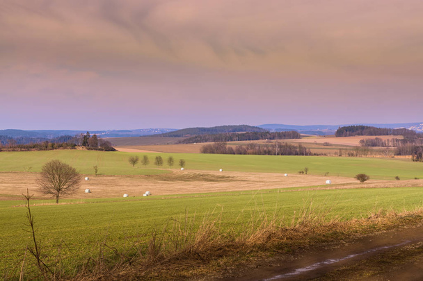 Agrarisch landschap met groene velden - Foto, afbeelding