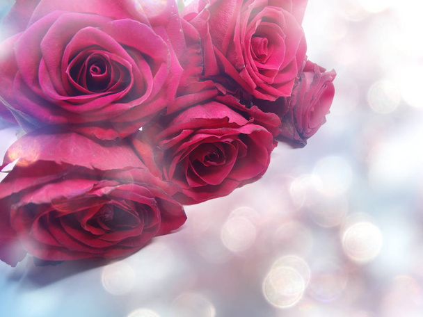 red roses valentine's day love background - Photo, Image