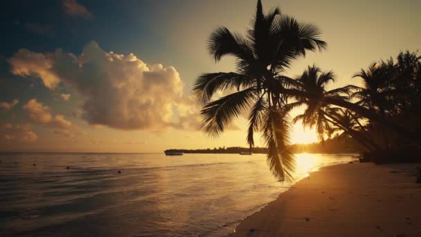 Auringonnousu yli trooppisen eksoottisen saaren rannan ja Karibian meren. Meriaallot huuhtovat hiekkaa
. - Materiaali, video