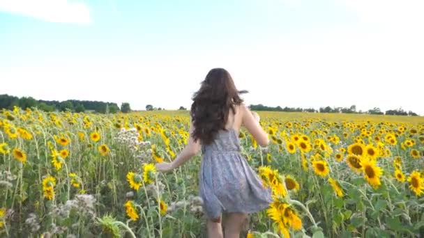 unkenntlich schönes Mädchen läuft auf gelbem Sonnenblumenfeld. Eine fröhliche junge Frau joggt an Sommertagen über die Wiese. Freiheit Freizeitkonzept. Zeitlupe - Filmmaterial, Video