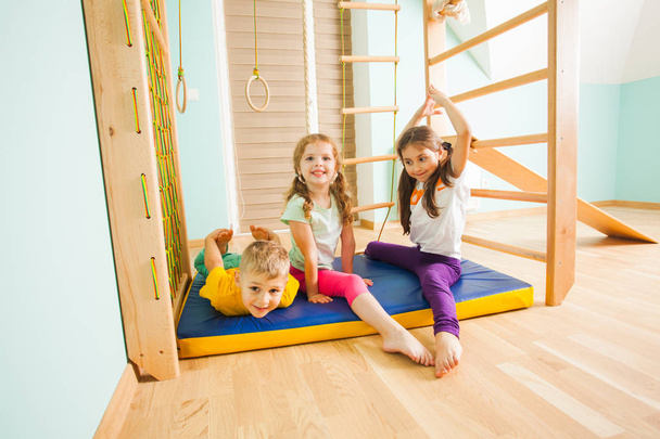 Children playing together in home kids gym - 写真・画像