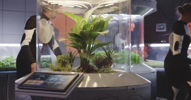 Astrobiólogos examinando incubadora de plantas
 - Metraje, vídeo