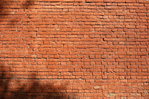 Brick wall on which the shadows of leaves of tree. - Photo, Image