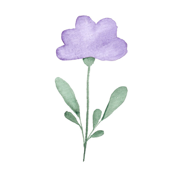 Hand drawn watercolor violet flower with green leaves - Fotoğraf, Görsel