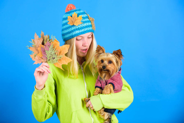 Take care pet autumn. Veterinary medicine concept. Health care for dog pet. regular flea treatment. Pet health tips for autumn. Girl hug cute dog and hold fallen leaves. Woman carry yorkshire terrier - Foto, afbeelding