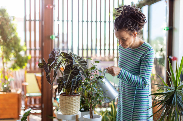 Молодая женщина заботится о своих горшках растений дома
 - Фото, изображение