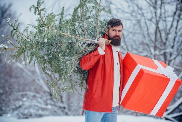 Bearded man is carrying Christmas tree in the wood. Santa Claus with Christmas tree. Young man lumberjack is cutting Christmas tree in the wood. - Fotoğraf, Görsel
