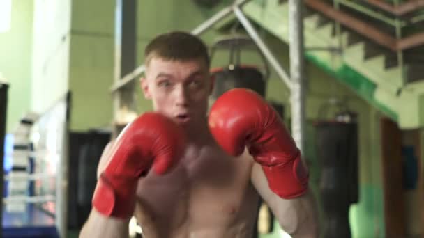 Man Professional Boxer blaast in Shadow, steady shot, Slow Motion - Video